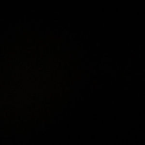 Meet your Posher, Mia